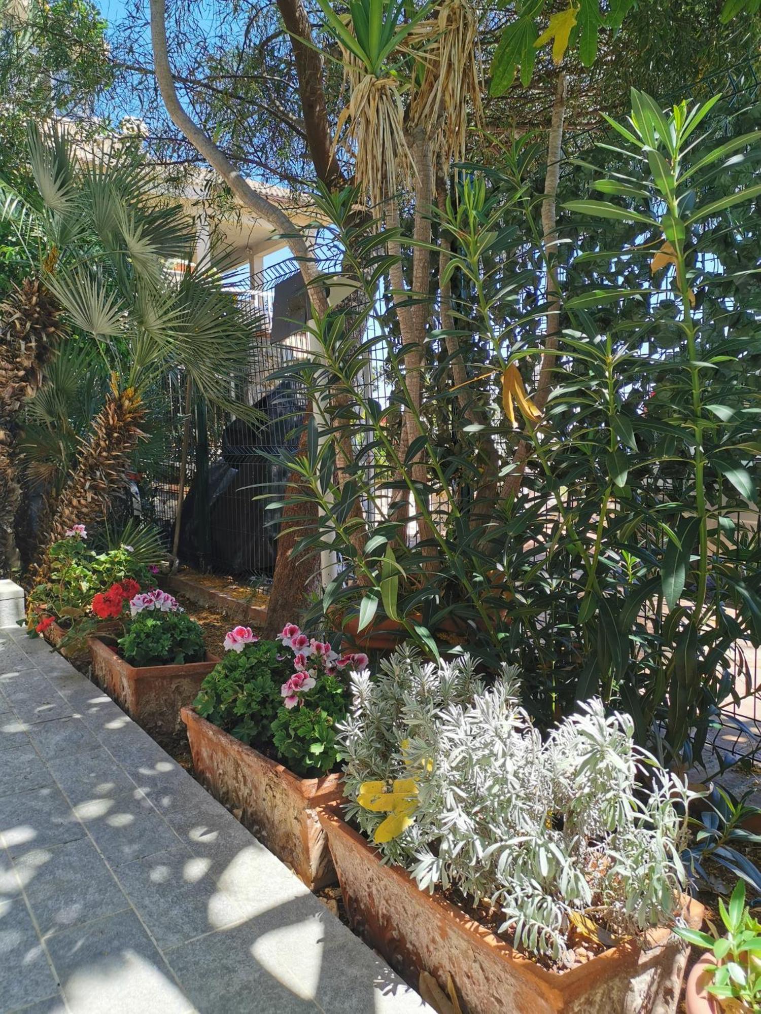 Panorama Apartment Addaura Palermo Zewnętrze zdjęcie